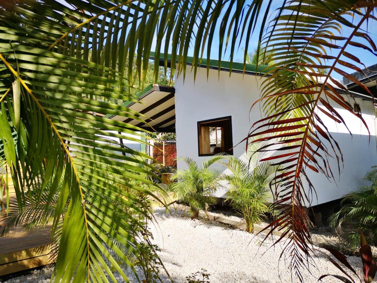 Santeria Lodge Playa Santa Teresa  外观 照片